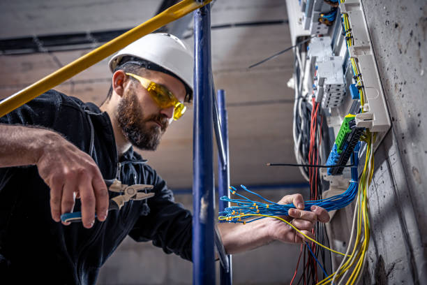 Best Ceiling Fan Installation Electrician  in Rosendale, WI