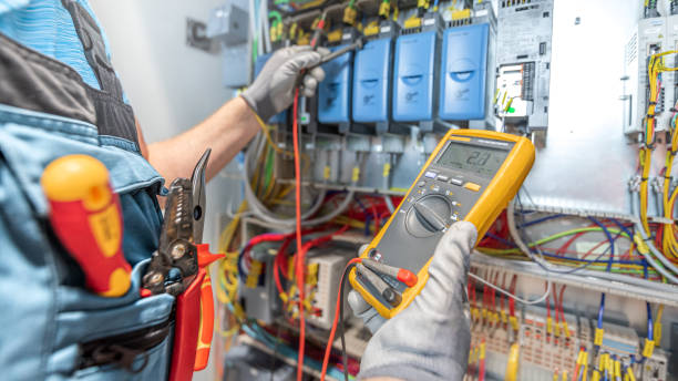 Best Electric Panel Repair  in Rosendale, WI